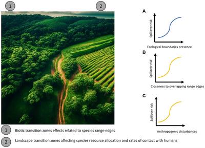 Evidence of repeated zoonotic pathogen spillover events at ecological boundaries